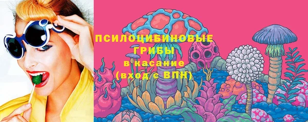 ешки Аркадак