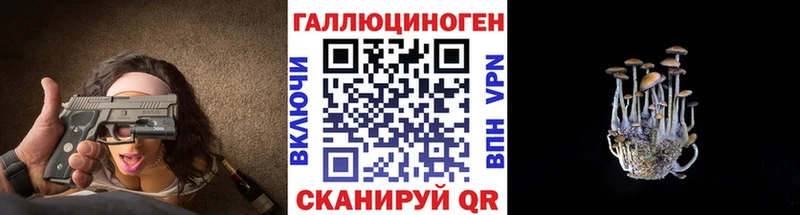 Псилоцибиновые грибы Psilocybe Белоярский